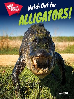 cover image of Watch Out for Alligators!